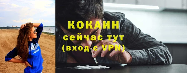 хмурый Алзамай