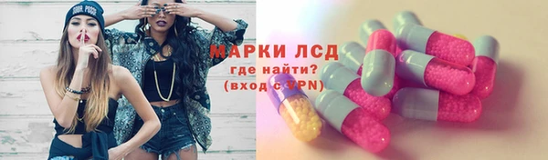хмурый Алзамай