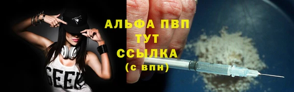 хмурый Алзамай