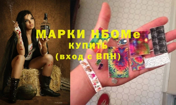 хмурый Алзамай