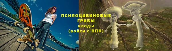 хмурый Алзамай