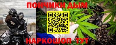 шишки Апшеронск