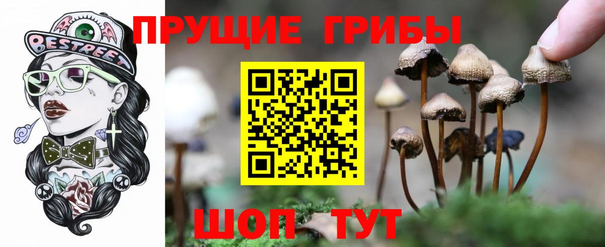Псилоцибиновые грибы мухоморы  Вход с VPN  Березники  Псилоцибиновые грибы ЛСД 